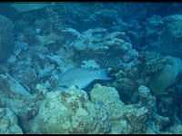Thailand030