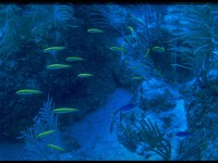 Thailand041