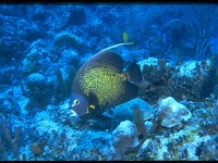 Thailand043