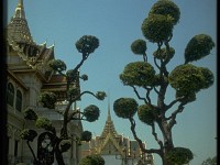 Thailand019