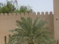 2010Dubai2190
