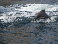 2010Dubai2298